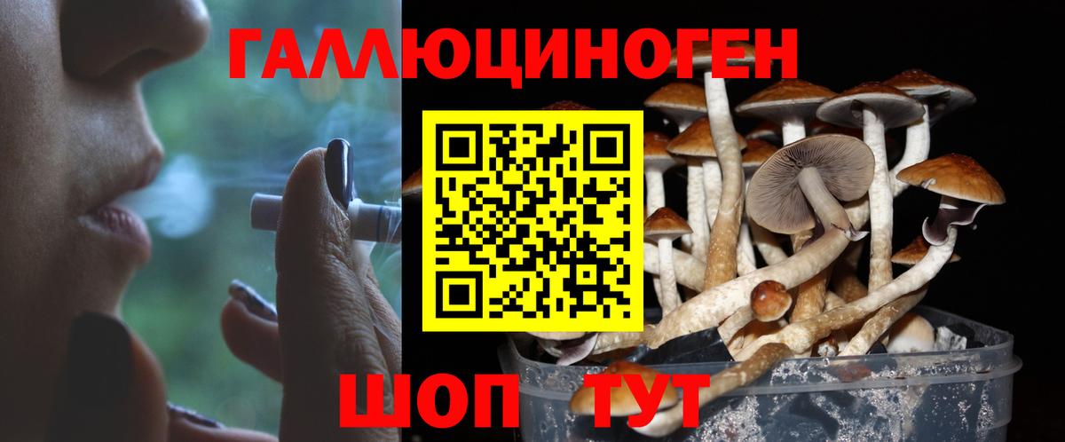 Псилоцибиновые грибы ЛСД Усть-Илимск